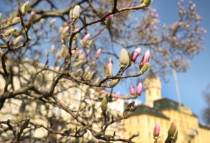 Spring has arrived in Szeged